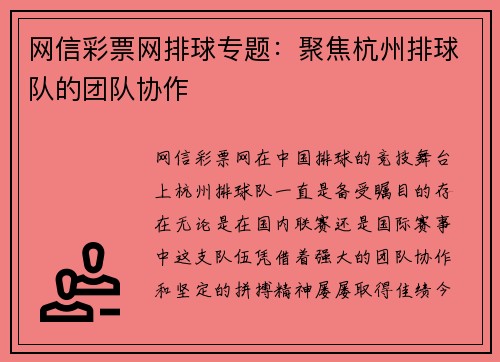 网信彩票网排球专题：聚焦杭州排球队的团队协作