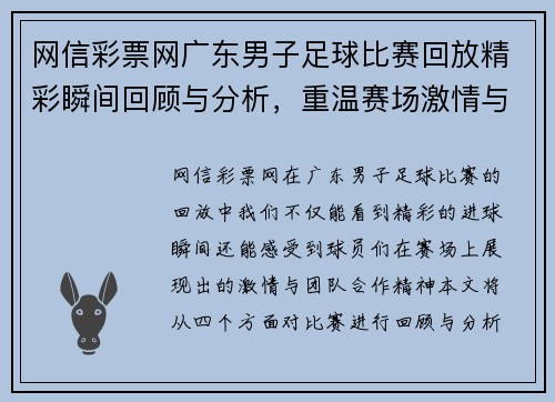 网信彩票网广东男子足球比赛回放精彩瞬间回顾与分析，重温赛场激情与团队合作精神
