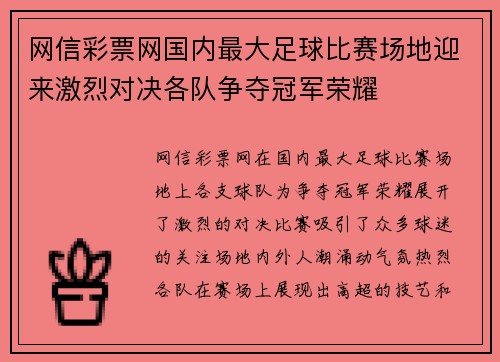 网信彩票网国内最大足球比赛场地迎来激烈对决各队争夺冠军荣耀