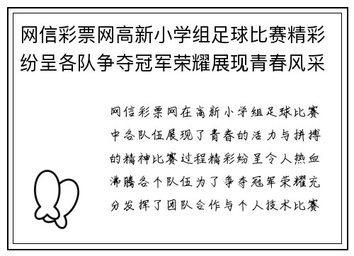 网信彩票网高新小学组足球比赛精彩纷呈各队争夺冠军荣耀展现青春风采